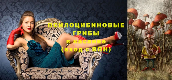 ECSTASY Бердск