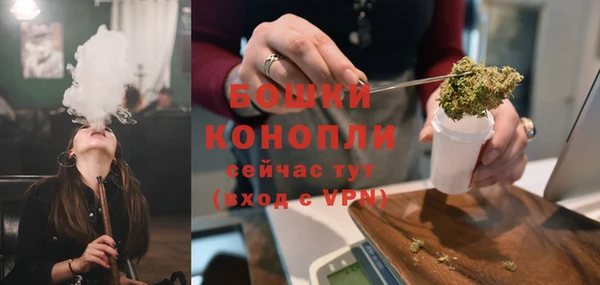 гидра Майский