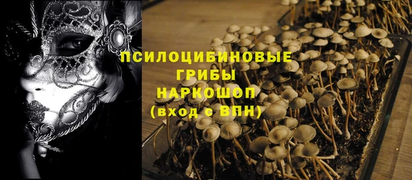 гидра Майский
