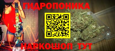 apvp Дубна