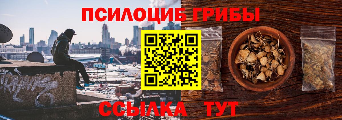 Псилоцибиновые грибы мухоморы Усинск